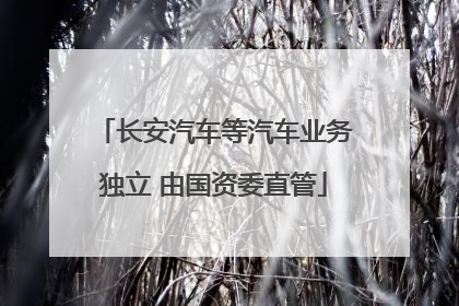 长安汽车等汽车业务独立 由国资委直管