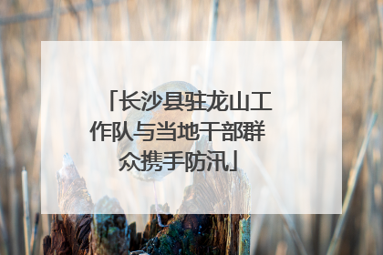 长沙县驻龙山工作队与当地干部群众携手防汛
