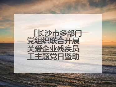 长沙市多部门党组织联合开展关爱企业残疾员工主题党日暨助残日特别活动