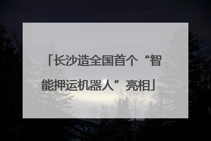 长沙造全国首个“智能押运机器人”亮相