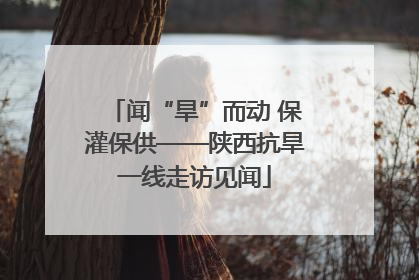 闻“旱”而动 保灌保供——陕西抗旱一线走访见闻
