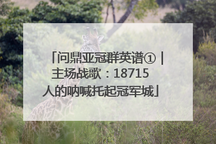 问鼎亚冠群英谱①｜主场战歌：18715人的呐喊托起冠军城