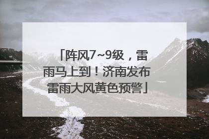 阵风7~9级，雷雨马上到！济南发布雷雨大风黄色预警