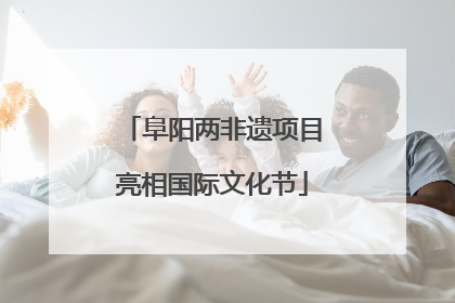 阜阳两非遗项目亮相国际文化节