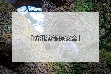 防汛演练保安全