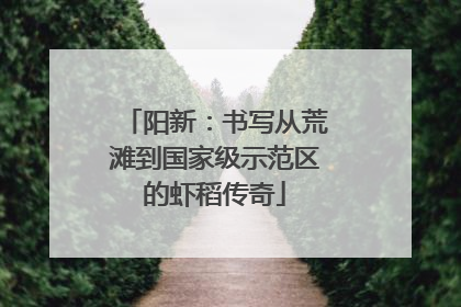 阳新：书写从荒滩到国家级示范区的虾稻传奇