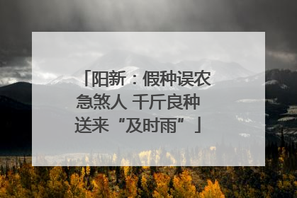 阳新：假种误农急煞人 千斤良种送来“及时雨”
