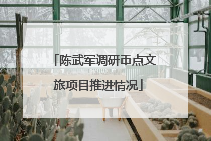 陈武军调研重点文旅项目推进情况