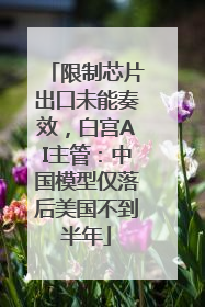 限制芯片出口未能奏效，白宫AI主管：中国模型仅落后美国不到半年