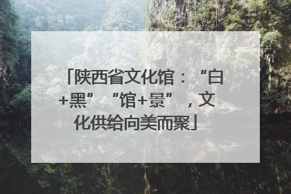 陕西省文化馆：“白+黑”“馆+景”，文化供给向美而聚