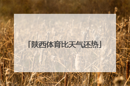 陕西体育比天气还热