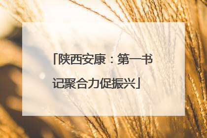 陕西安康：第一书记聚合力促振兴