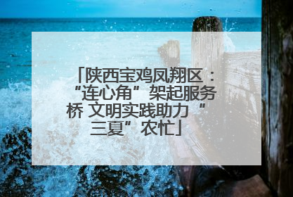 陕西宝鸡凤翔区：“连心角”架起服务桥 文明实践助力“三夏”农忙