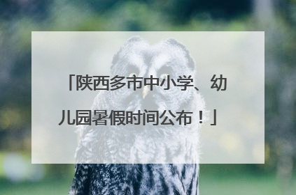 陕西多市中小学、幼儿园暑假时间公布！