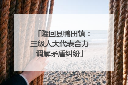 隆回县鸭田镇：三级人大代表合力调解矛盾纠纷