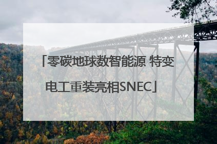 零碳地球数智能源 特变电工重装亮相SNEC