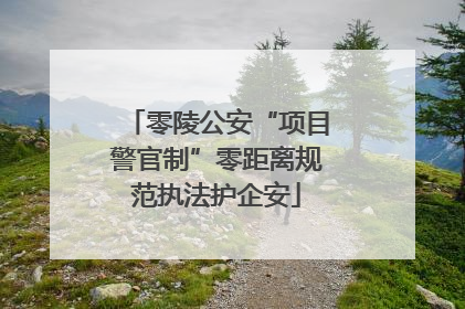 零陵公安“项目警官制”零距离规范执法护企安