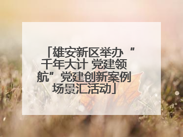 雄安新区举办“千年大计 党建领航”党建创新案例场景汇活动