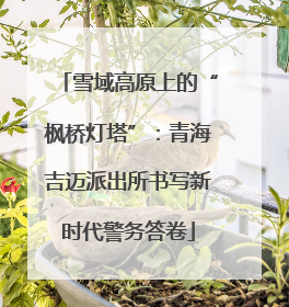 雪域高原上的“枫桥灯塔”：青海吉迈派出所书写新时代警务答卷