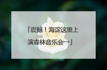 震撼！海淀这里上演森林音乐会→