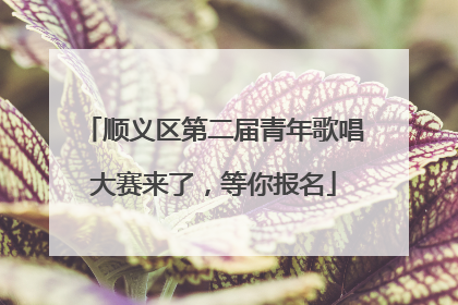 顺义区第二届青年歌唱大赛来了，等你报名