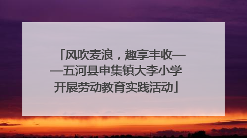 风吹麦浪，趣享丰收——五河县申集镇大李小学开展劳动教育实践活动