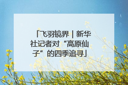 飞羽镜界｜新华社记者对“高原仙子”的四季追寻