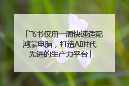 飞书仅用一周快速适配鸿蒙电脑，打造AI时代先进的生产力平台