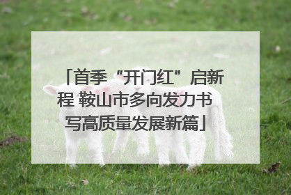 首季“开门红”启新程 鞍山市多向发力书写高质量发展新篇