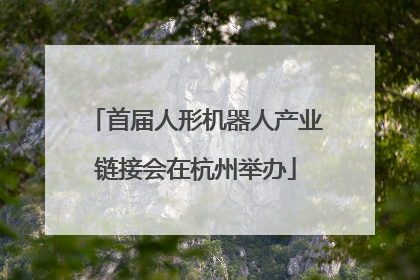首届人形机器人产业链接会在杭州举办