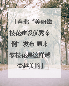 首批“美丽攀枝花建设优秀案例”发布 原来攀枝花是这样越变越美的