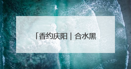 香约庆阳｜合水黑木村：梅花鹿鸵鸟共舞 文旅融合绘就“诗与远方”