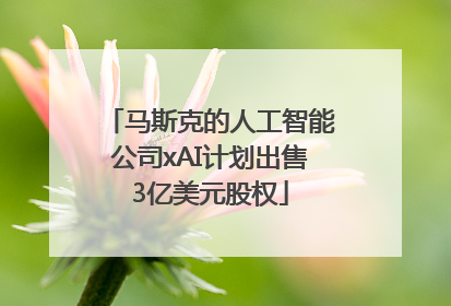 马斯克的人工智能公司xAI计划出售3亿美元股权