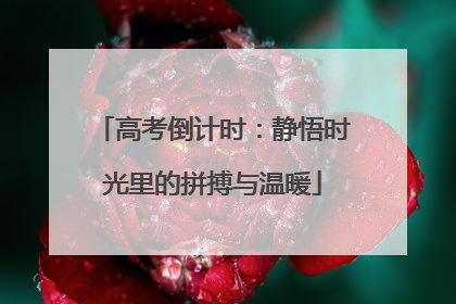高考倒计时：静悟时光里的拼搏与温暖