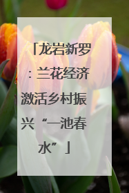 龙岩新罗：兰花经济激活乡村振兴“一池春水”