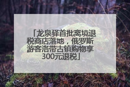 龙泉驿首批离境退税商店落地，俄罗斯游客洛带古镇购物享300元退税