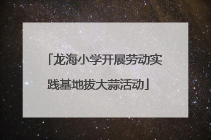 龙海小学开展劳动实践基地拔大蒜活动