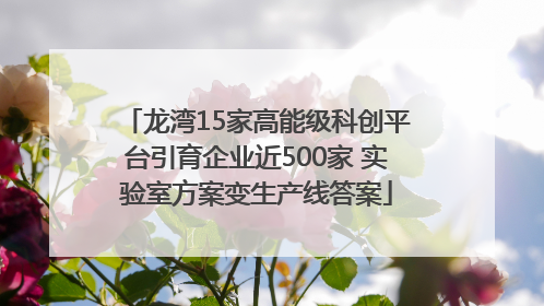 龙湾15家高能级科创平台引育企业近500家 实验室方案变生产线答案
