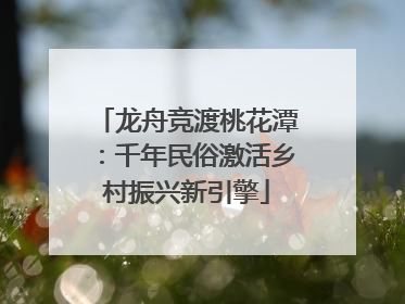 龙舟竞渡桃花潭：千年民俗激活乡村振兴新引擎