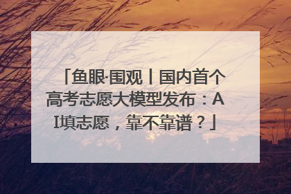鱼眼·围观丨国内首个高考志愿大模型发布：AI填志愿，靠不靠谱？