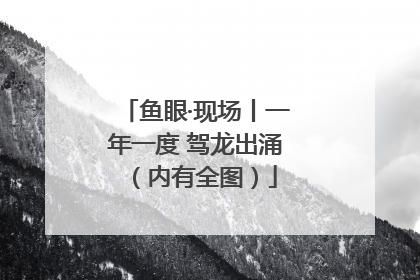 鱼眼·现场丨一年一度 驾龙出涌（内有全图）