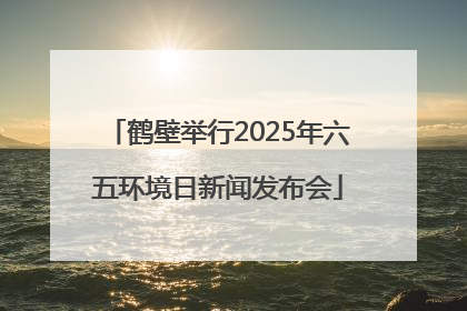 鹤壁举行2025年六五环境日新闻发布会