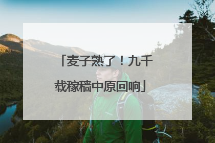 麦子熟了！九千载稼穑中原回响