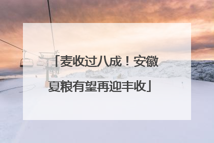 麦收过八成！安徽夏粮有望再迎丰收