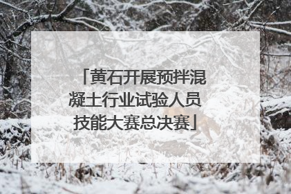 黄石开展预拌混凝土行业试验人员技能大赛总决赛