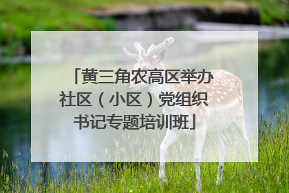 黄三角农高区举办社区（小区）党组织书记专题培训班