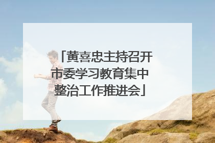 黄喜忠主持召开市委学习教育集中整治工作推进会