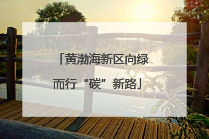 黄渤海新区向绿而行“碳”新路