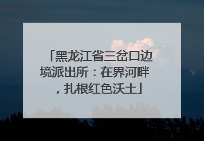 黑龙江省三岔口边境派出所：在界河畔，扎根红色沃土