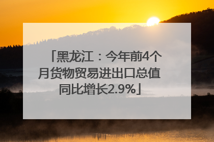 黑龙江：今年前4个月货物贸易进出口总值同比增长2.9%